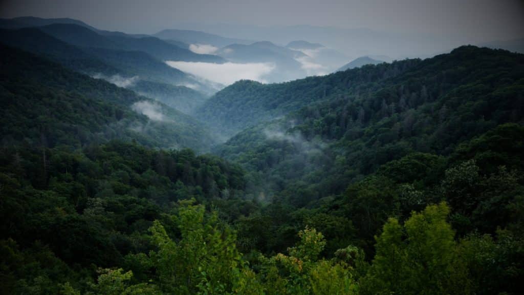 Biodiversity Preservation: A Conversation With Vikram Krishna.